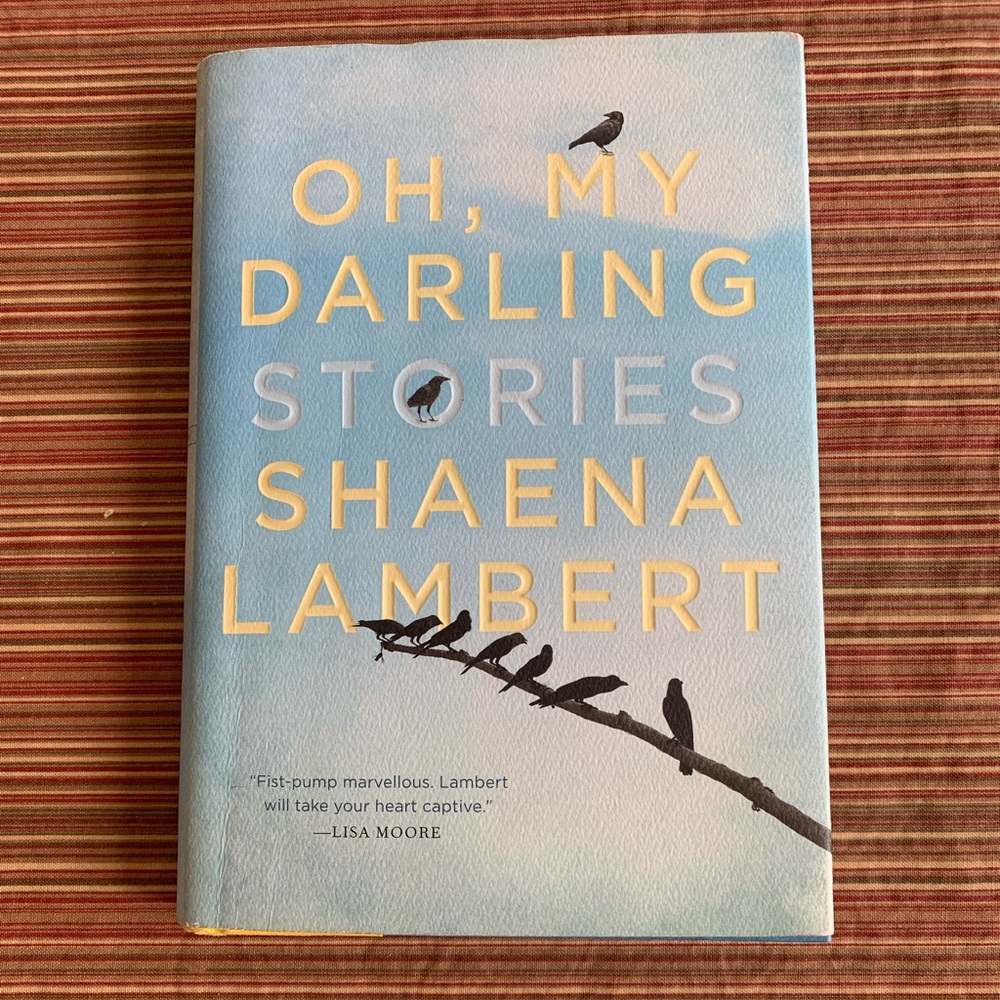 Oh, My Darling Hardcover book Shaena Lambert
